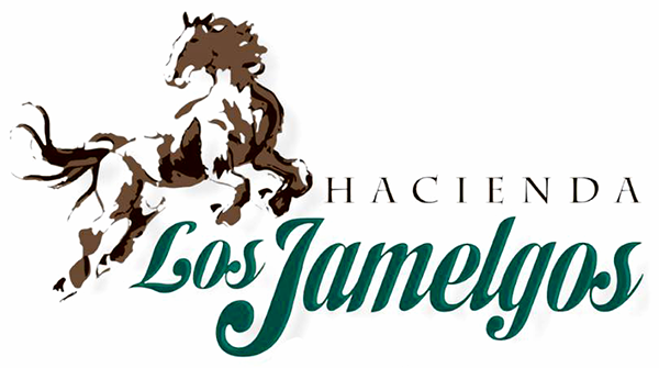 Logotipo